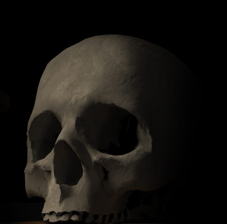 Pirate Haircut Friseur München